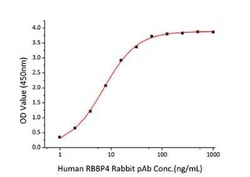 Novus Biologicals Recombinant Human RBBP4/RbAp48 Protein 50 &mu;g | Buy Online | Novus Biologicals&trade; | Fisher Scientific